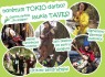 Tėvystės centras