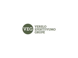UAB Verslo efektyvumo grupė