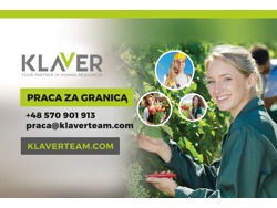 Klaver 