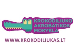 Viešoji įstaiga 