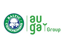 Baltic Champs, UAB