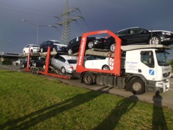 Autovežio vairuotojas (4)