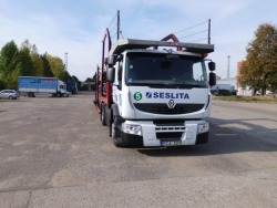 Autovežio vairuotojas (2)