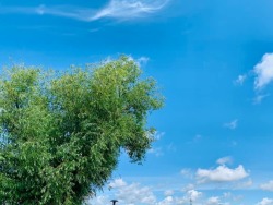 Vasaros sezonui ieškome PADAVĖJŲ BARMENŲ (5)