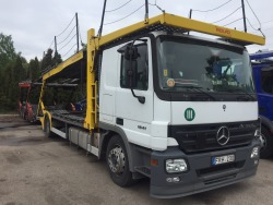 Ieškomas autovevežio vairuotojas (3)