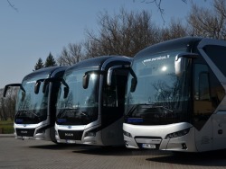 Turistinio autobuso vairuotojas (3)