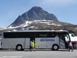Turistinio autobuso vairuotojas (7)