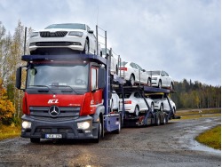 AUTOVEŽIO VAIRUOTOJAS (2)