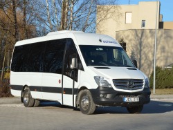 Autobuso vairuotojas (4)