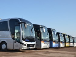 Autobuso vairuotojas (2)