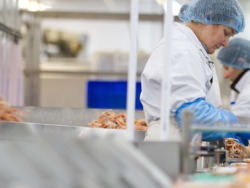 NEMOKAMAS ĮDARBINIMAS ŠKOTIJOJE KREVEČIŲ FABRIKE (6)