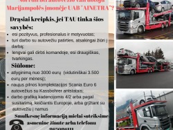Autovežio vairuotojo darbas (2)
