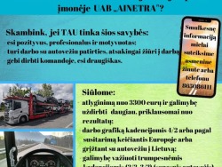 8-9 vietų autovežio vairuotojo darbas (4)
