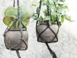 Siūlome darbą floristui gėlių parduotuvėje (8)