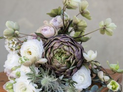 Siūlome darbą floristui gėlių parduotuvėje (5)