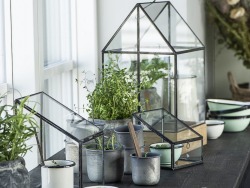 Siūlome darbą floristui gėlių parduotuvėje (9)