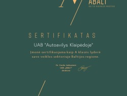 Darbas Automechanikui (3)