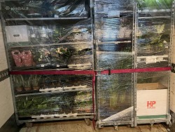 Darbas vilkiko vairuotoju dvivairiui po Beneliuxo salis (4)