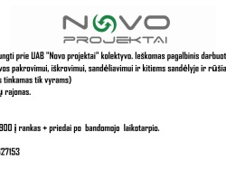Pagalbinis darbininkas (2)