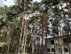 Ieškome slaugytojos padėjėja individualios priežiūros darbuotoja Kaune (12)
