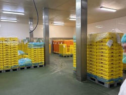 Operatoriai ir gamybos darbuotojai Olandijoje (2)