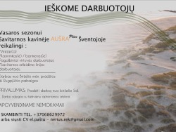 Darbui Šventojoje (2)