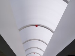 Ieškomas pagalbinis darbininkas stoglangių gamyboje Подсобный рабочий на производстве (5)