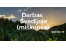 Darbas Švedijoje (miškuose)