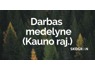 Siūlome darbą medelyne (Kulautuvoje)