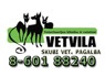 Siūlome darbą veterinarijos felčeriui ar vet. gydytojo asistentui