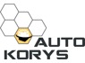 Automechanikas-šaltkalvis