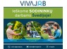 Reikalingi SODINININKAI, kurie turi patirties