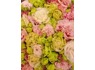 Ieškoma floristė-pardavėja