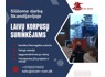 Projektui Norvegijoje ieškome laivų korpusų surinkėjų